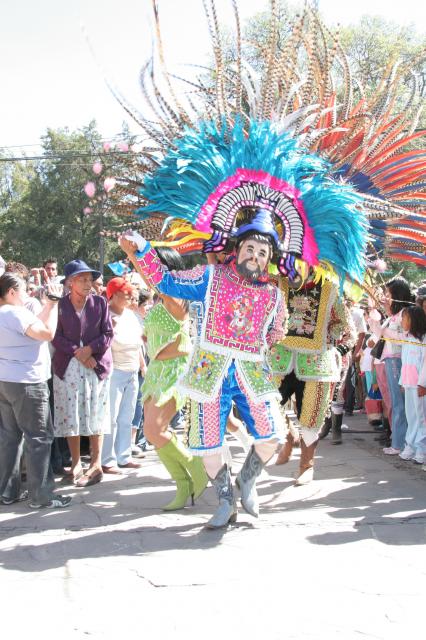 Carnaval San Francisco Tlacuilohcan 2008 - Foto