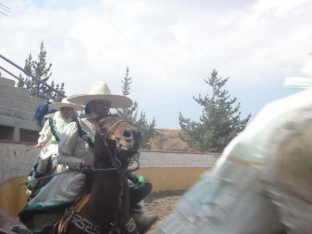 Actuacion de la escaramuza rancheras de la Herradura
