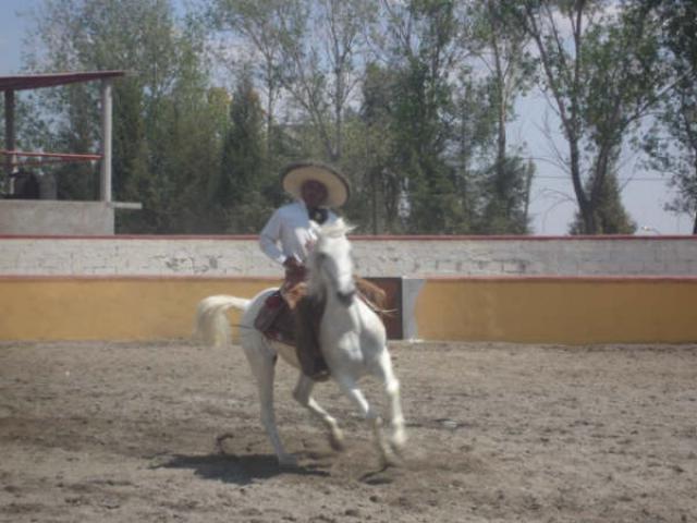 Giros de Don Manuel Lopez de la Herrradura