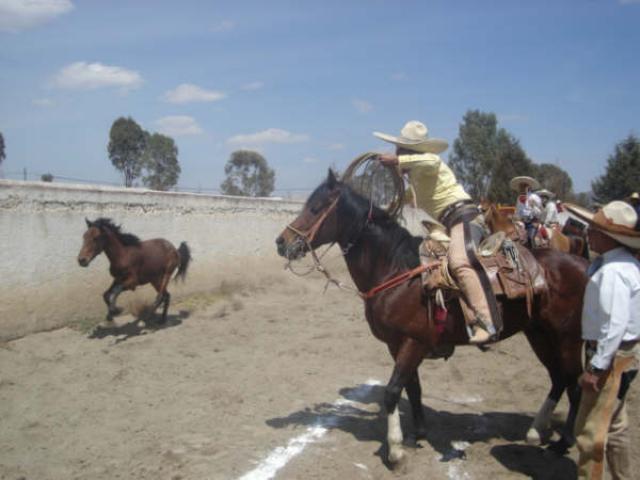 Lance de Victor Lopez por la Herradura