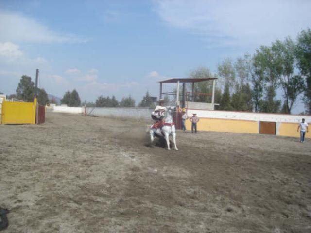 Adelita Meneses ganadora del concurso de puntas