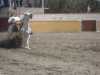 Don Manuel Lopez por la Herradura