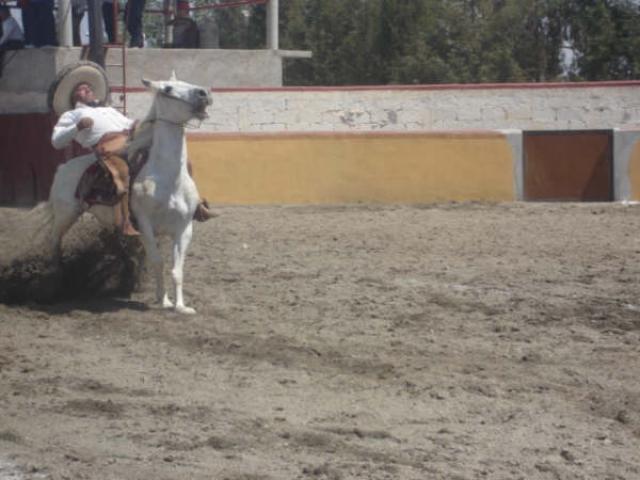 Don Manuel Lopez por la Herradura