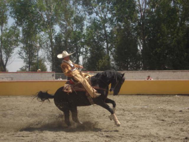Mario Lopez Calando por Rancheros de Apizaco