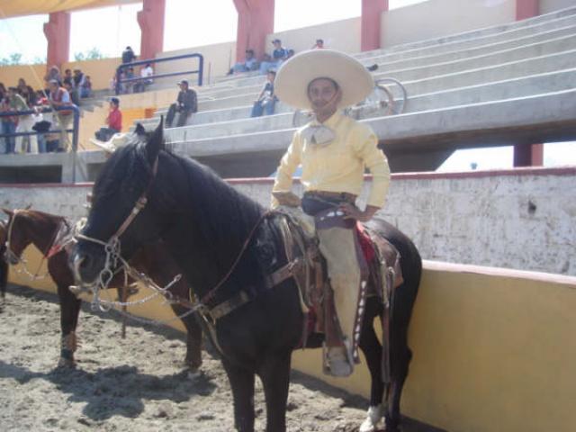 El padrote de la herradura de Apizaco
