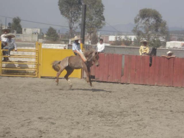 Ahora si se le quedo Juan Garcia a la greda por Rancheros de Apizaco