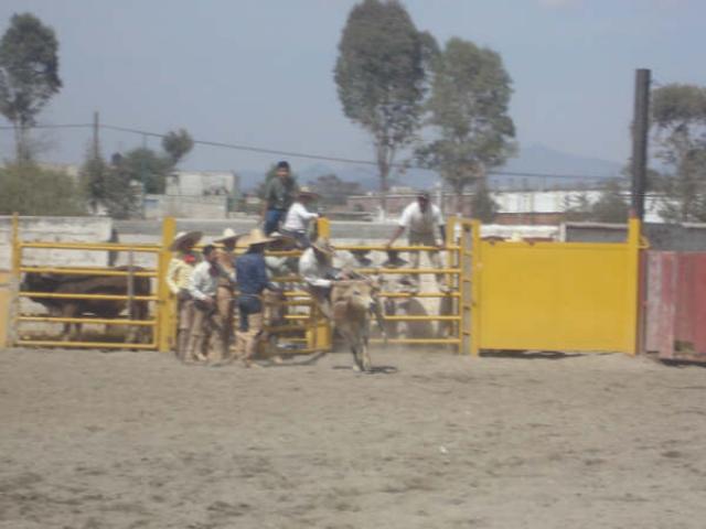 Rumbo a la arena Juan Garcia de Rancheros de Apizaco
