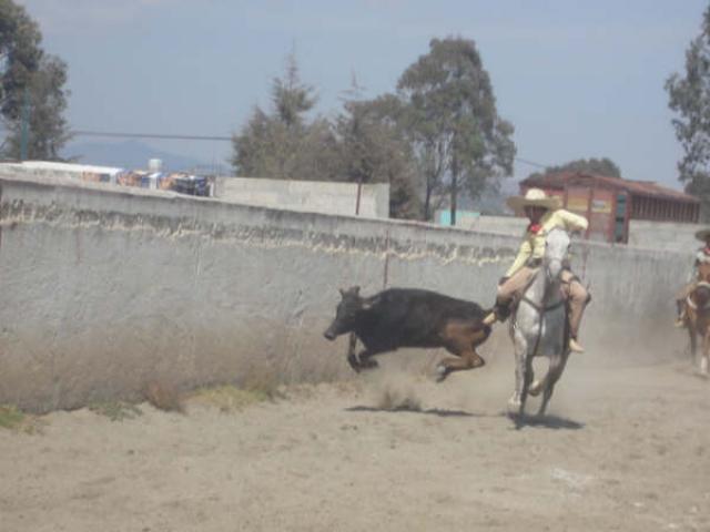 Segundo derribe de Victor Lopez de La Herradura