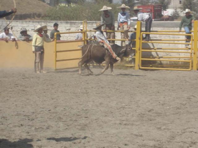 Por la Herradura, Jesus Aradilla en el toro