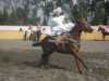 Alma por las Rancheras de la Herradura