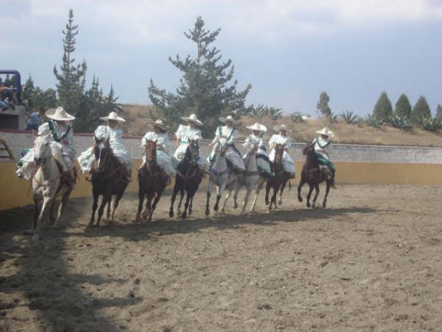 Abanico de las Rancheras de la Herradura