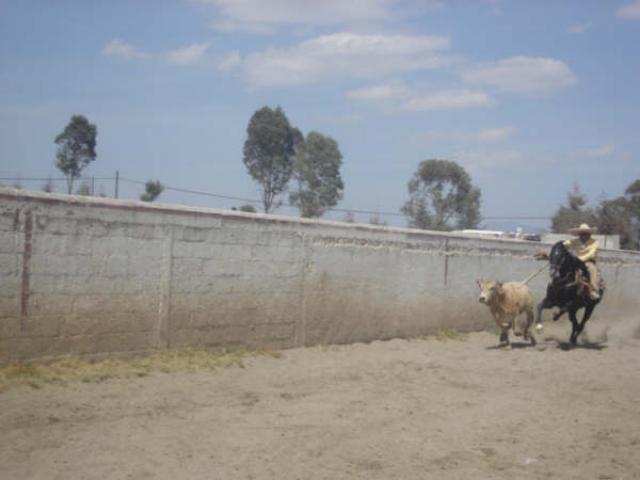 Lanzando la patada Jose Luis Martinez de La Herradura de Apizaco