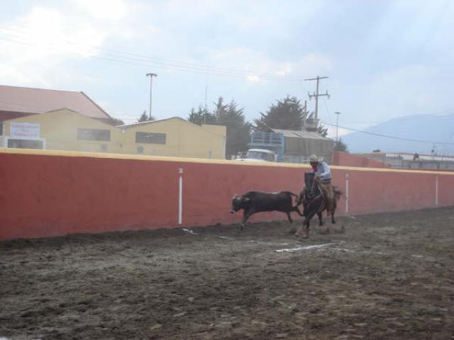Del Relicario Jose Luis Rivero