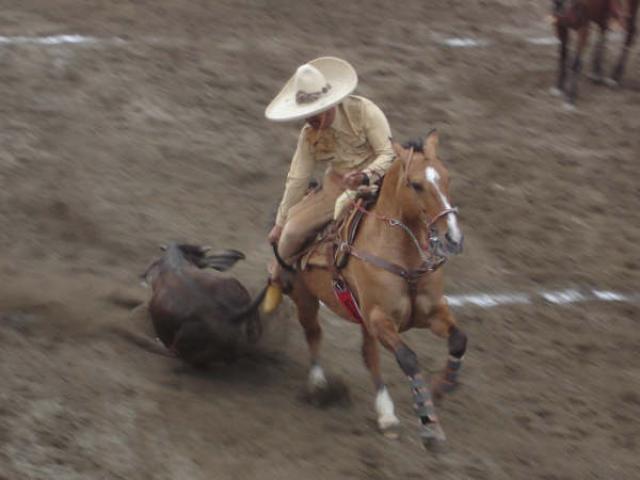 Derribando salvador Ximenez