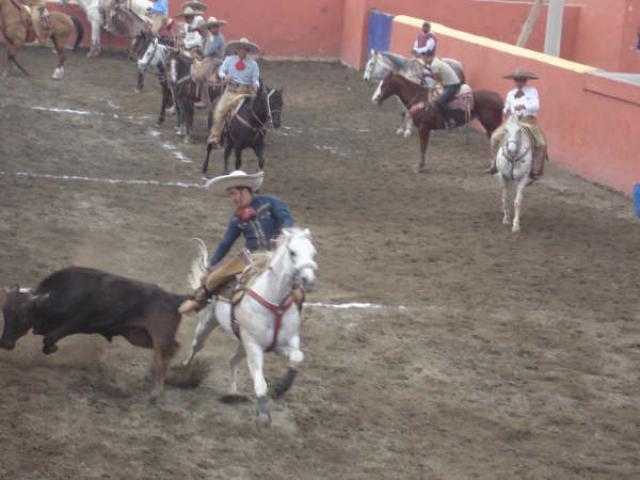 Apretando la mano  Hector ximenez