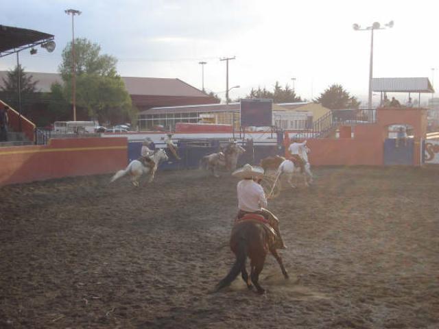 Emilio Osorio tumbando buena mangana