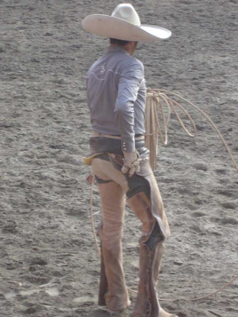Arreglando el protector