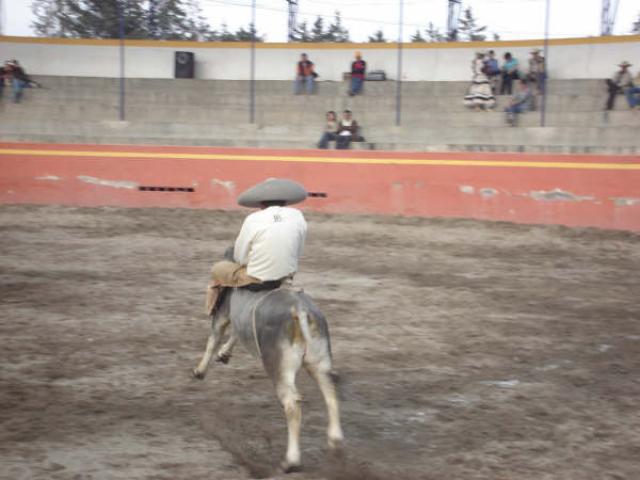 Berna Trevio por 3 ranchos