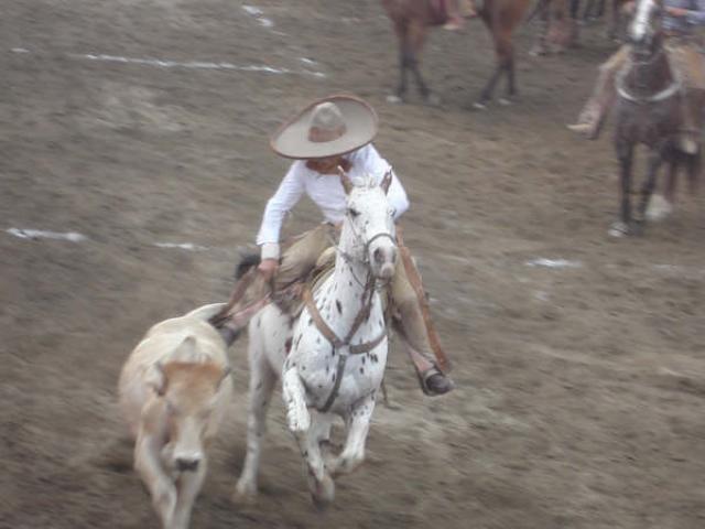 Buenas hechuras de Emilio Osorio