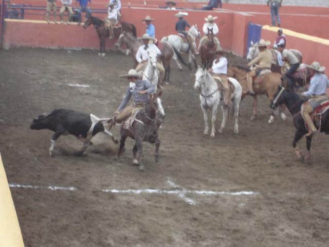 En corto terreno Enrique Osorio