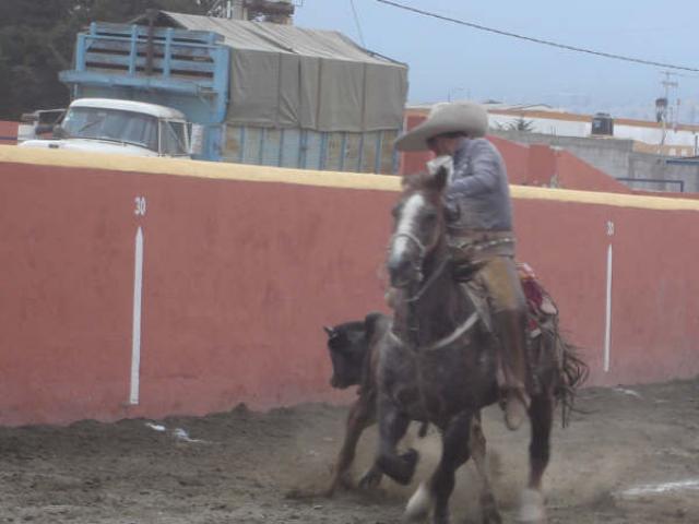 Jalando Enrique Osorio
