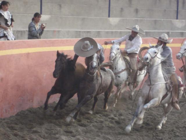 Brinco por Gary perex de 3 ranchos