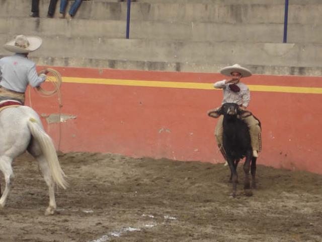 Listo para bajrse del toro