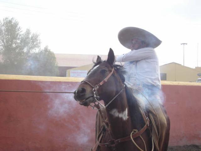Disfrutando su pial Gerrado Milla del Relicario