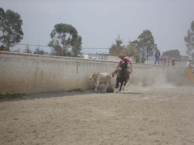 Abriendo su cuaco Rene Lopez