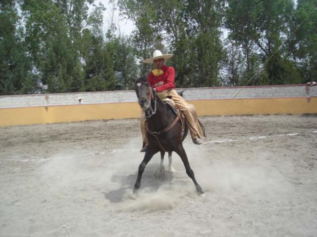Girando su cuaco Mario Lopez por Rancho El Durazno
