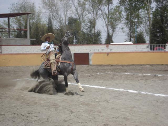 Demostrando buena rienda de su cuaco Damian Hernandez