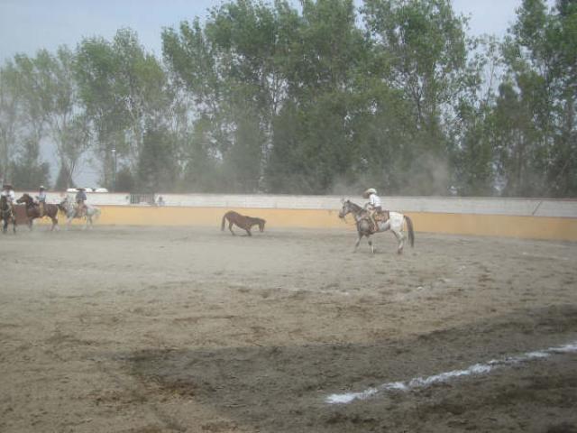 Mangana a caballo Mariano Diaz