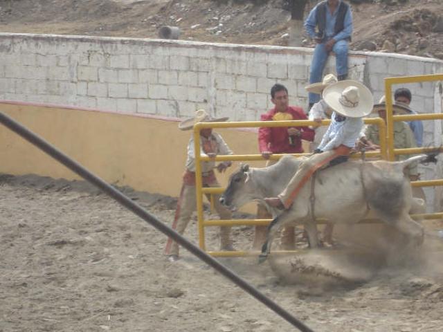 El famoso charrito montando este cornudo