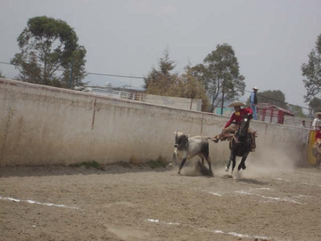 En su segunda oportunidad rene Lopez