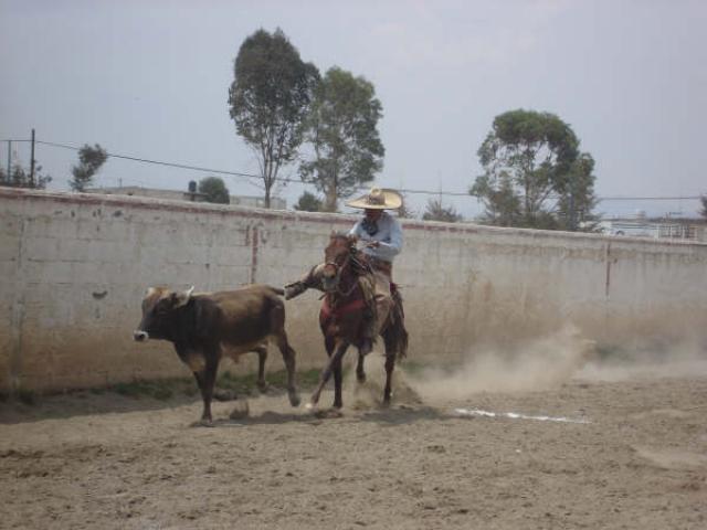 Fidencio Nava el mero mero del Duranzo