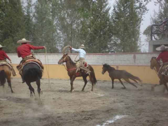 Girando en su mangana Quirino