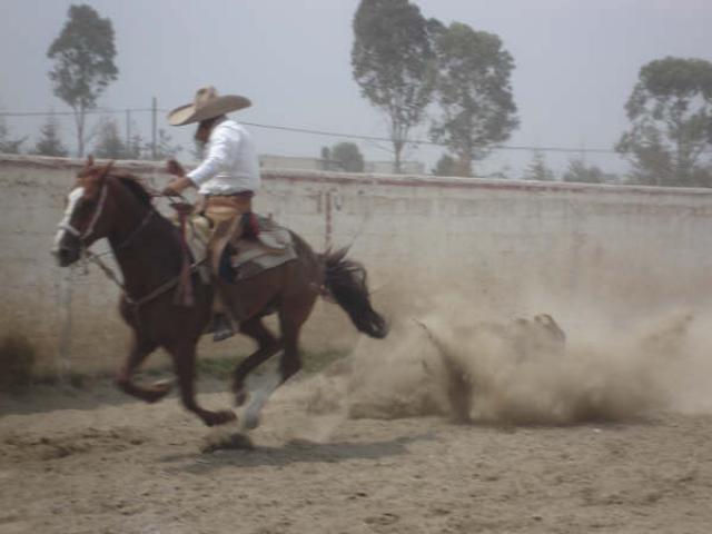 Beto Gutierrez de Rancheros de Apizaco derribando su novillo