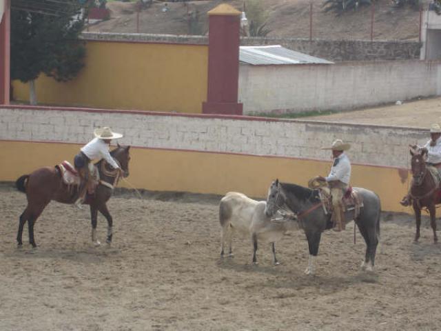 Coloca pial de ruedo Manuel Dorantes