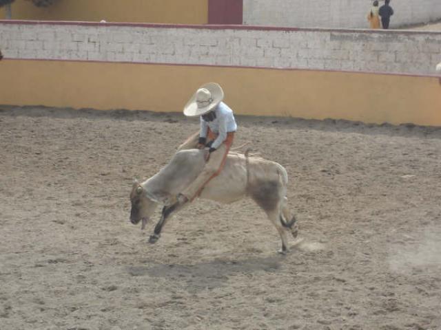 Buenos reparos le pego el cornudo a charrito