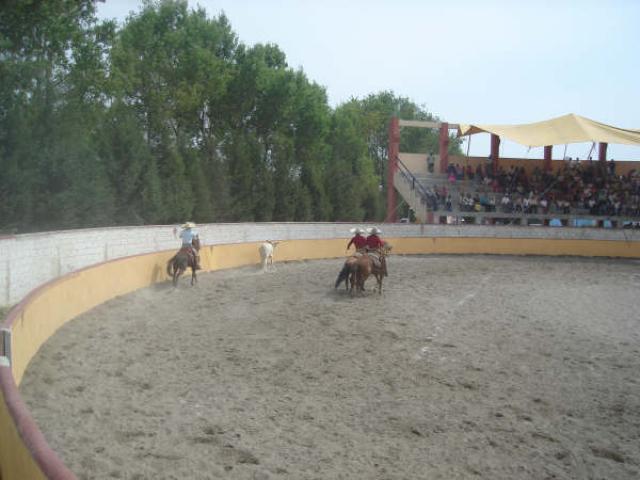 Lazando de cueros al toro Quiirno Fuentes de El Durazno