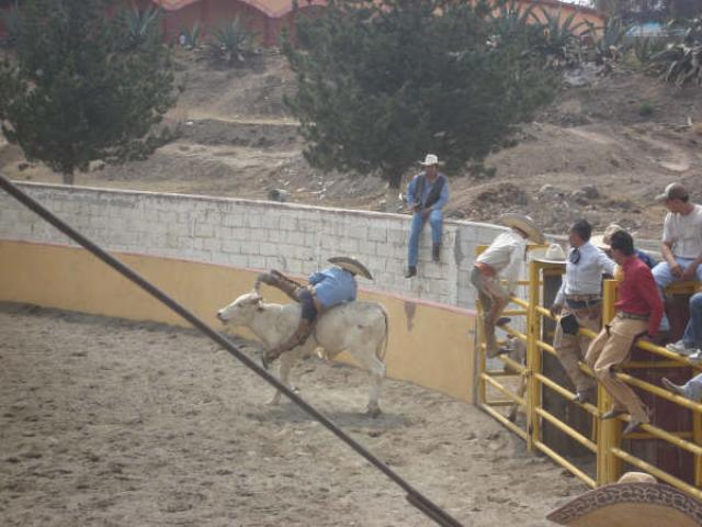 Bajandose del toro Fernando Ortiz