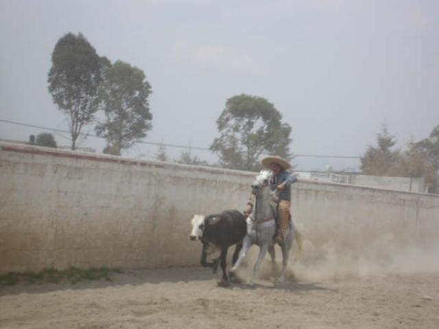 Chon Gutierrez de Rancheros de Tlaxcala para su derribe