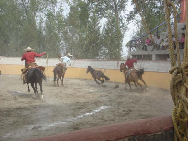Manda de mascara Quirino