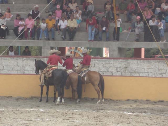 Los del color garambullo
