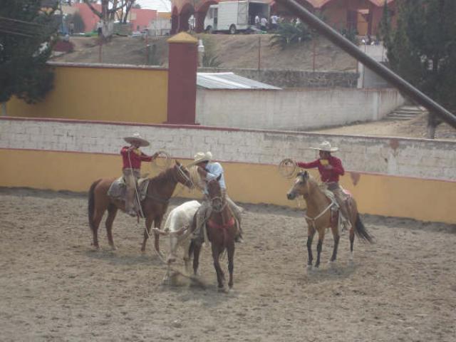 Levantando la lazada Oscar Lopez de El Durazno