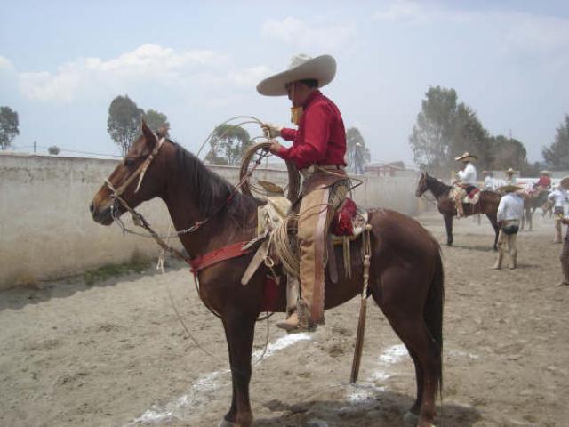 En espera de que digan va yegua Oscar Lopez