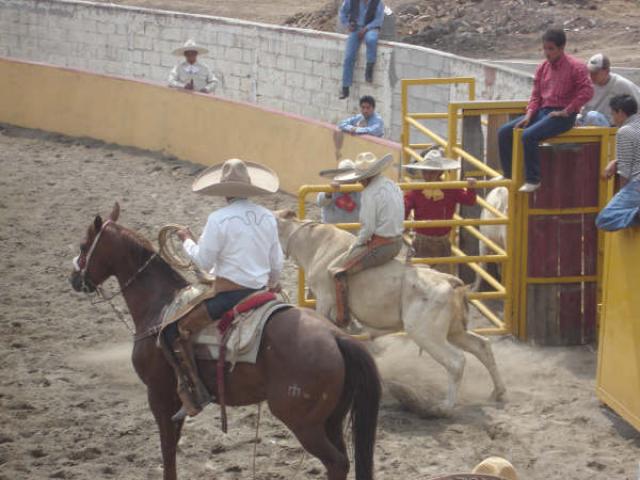 Buen toro para Angel Franquiz de Rancheros de Tlaxcala