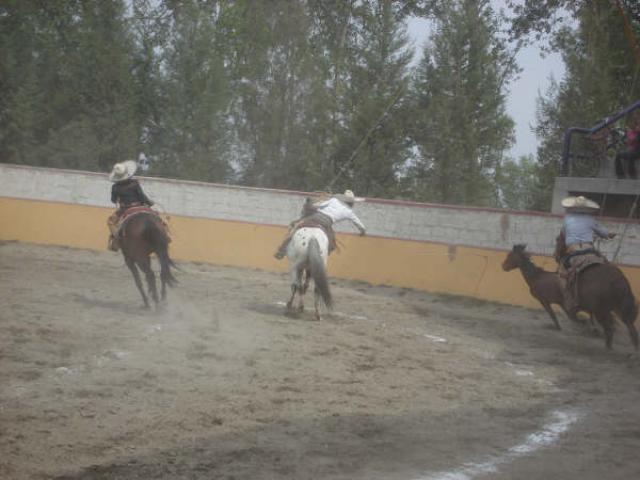 De mascara manda Mariano Diaz de Rancheros de Tlaxcala