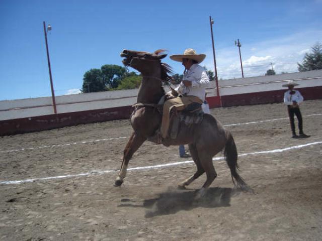 Torneo del Centenario en San Martin Texmelucan - Foto