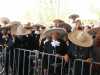 Atentos al inicio de la misa